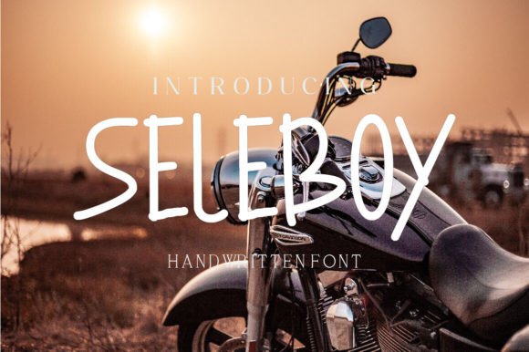 Seleboy Font for Creative Makers